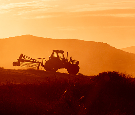 Tractor working in a field at sunset