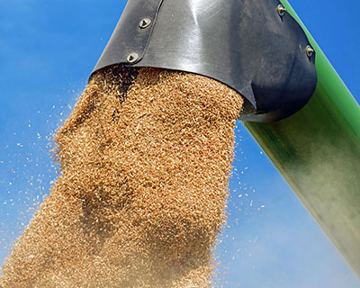 Grain unloading from farm equipment during harvest