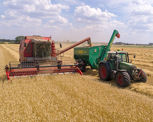 Farm equipment harvesting a grain field